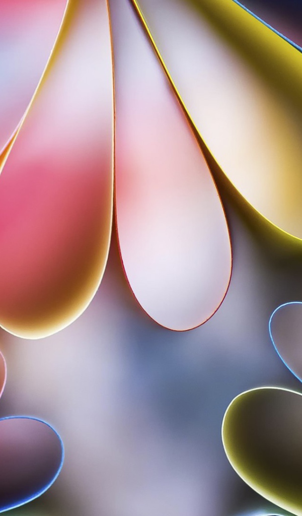 Лепестки цветов