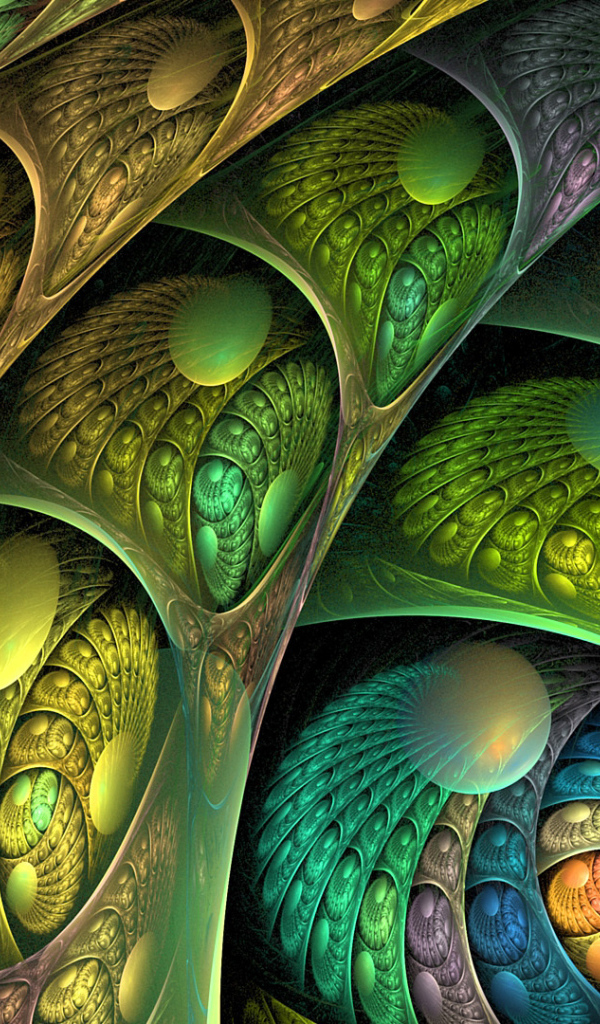 Сосуды вселенной