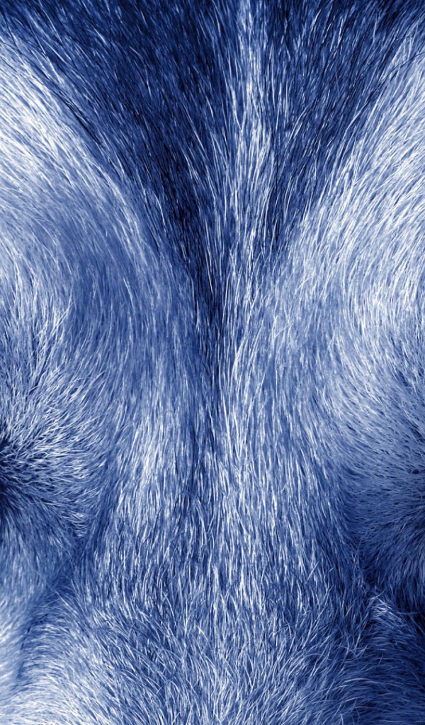 Звериный взгляд