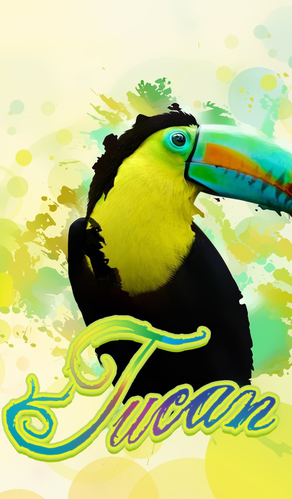 Птица тукан в красках