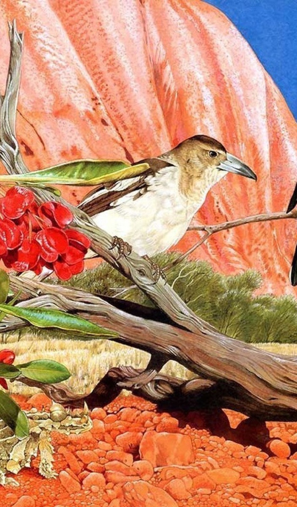 Общение птиц