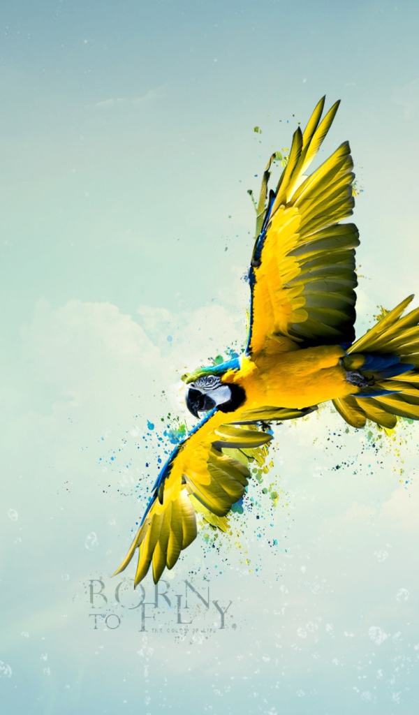 Рождена летать