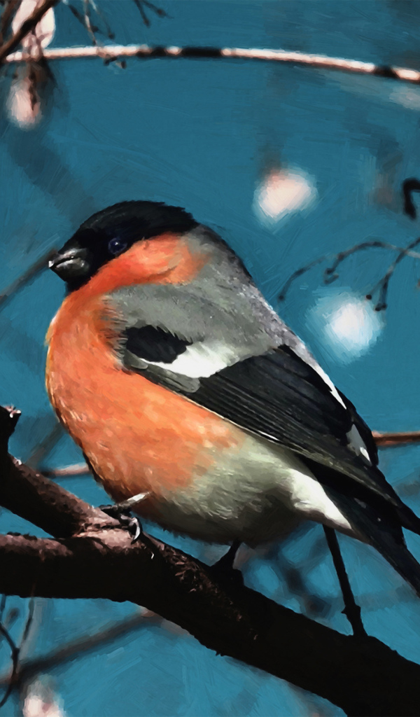 Снегирь на ветке