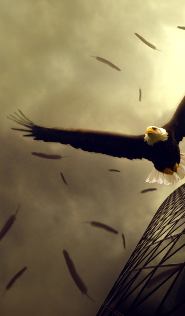 Полет орлов