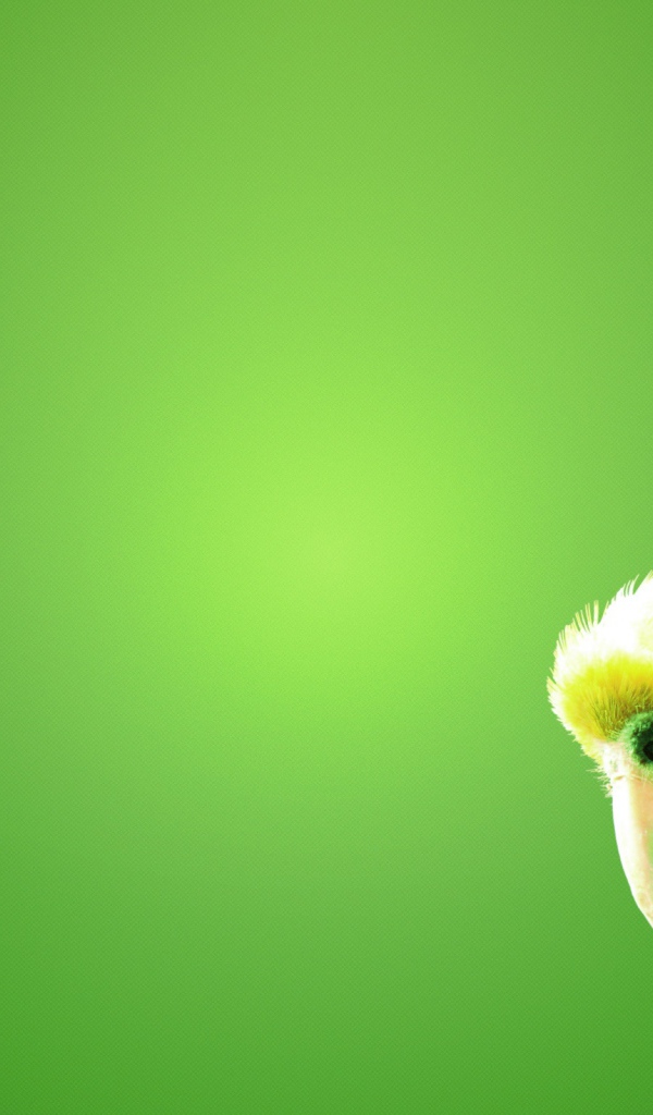 Зеленый попугай