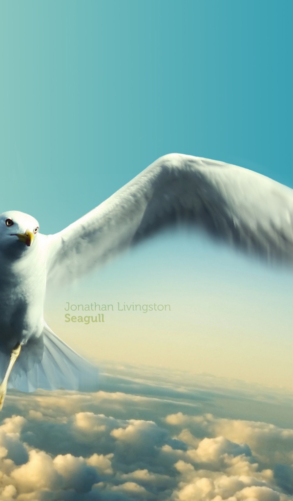 Чайка Джонатана Ливингстона