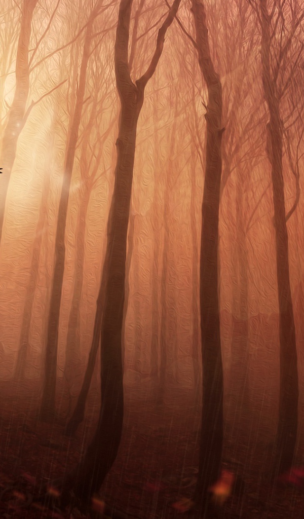 Сова в лесу