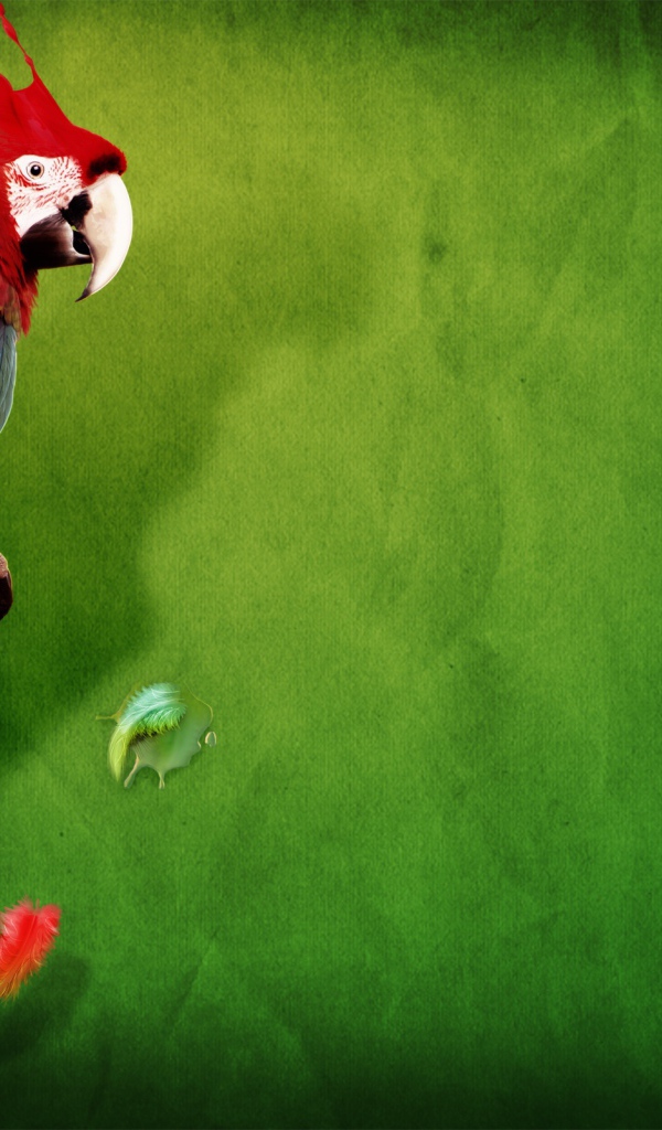 Всплеск попугая