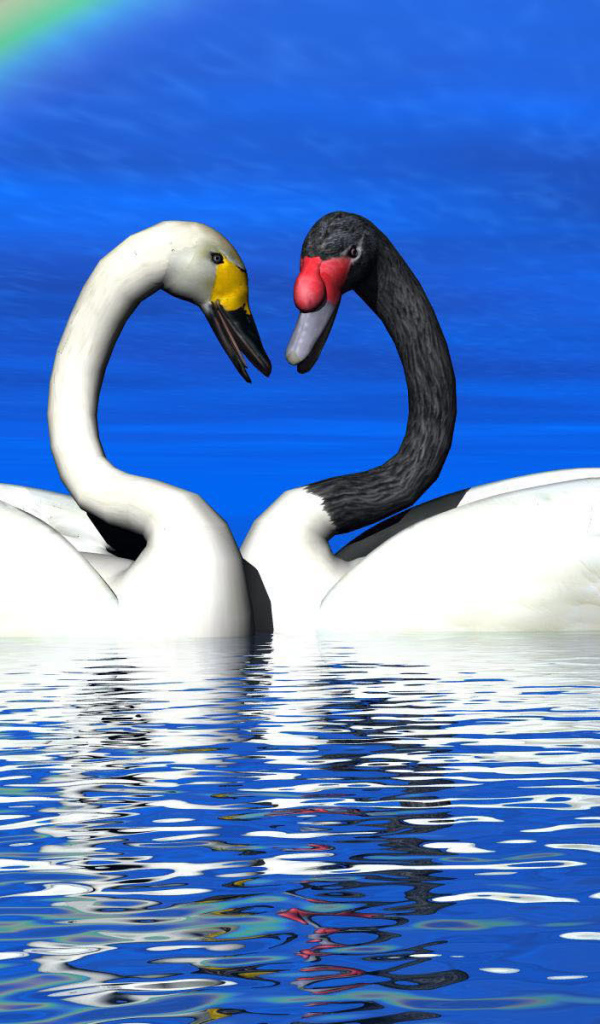 Лебеди под радугой