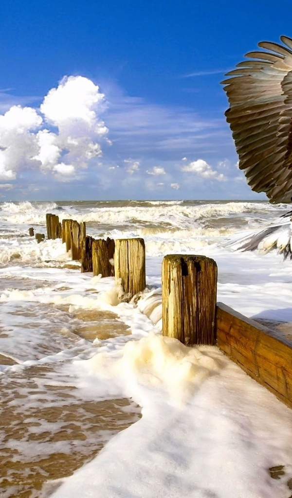 Орел садится на столб