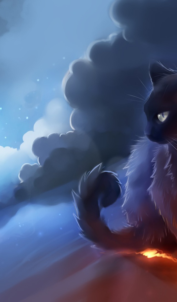 Черный кот и облака