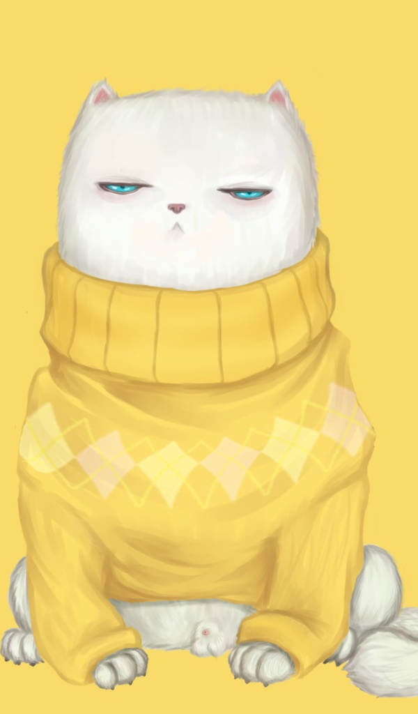 Кот в свитере