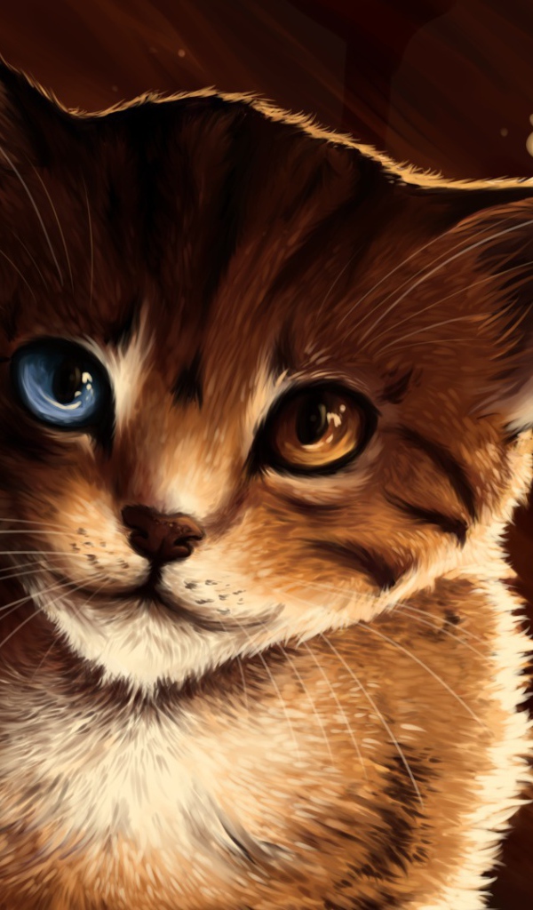 Кот с разными глазами