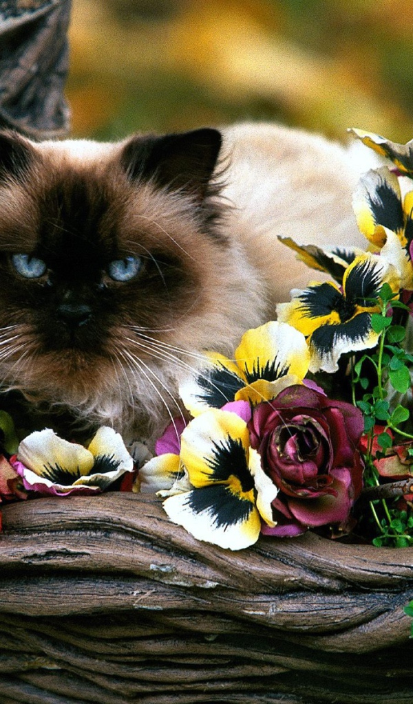 Садовая корзинка