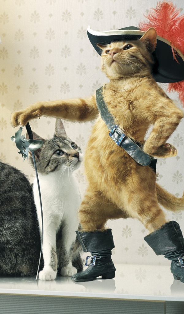 Кот в сапогах среди кошек