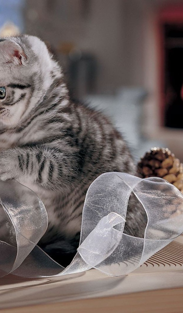 Котенок играет с лентой