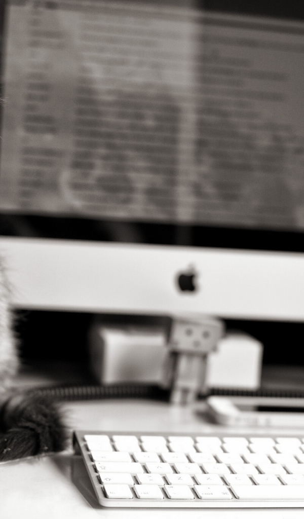 Котенок у компьютера