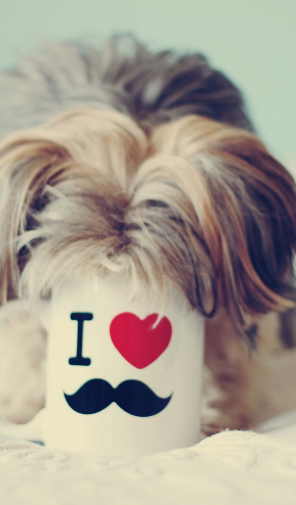 Собака пьет из чашки