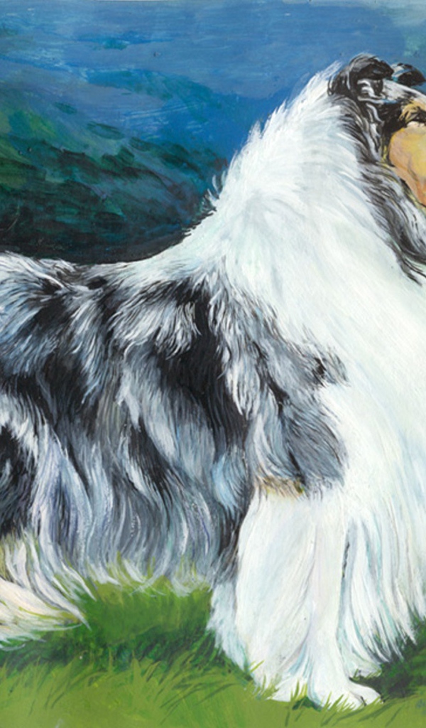 Картина с изображением колли