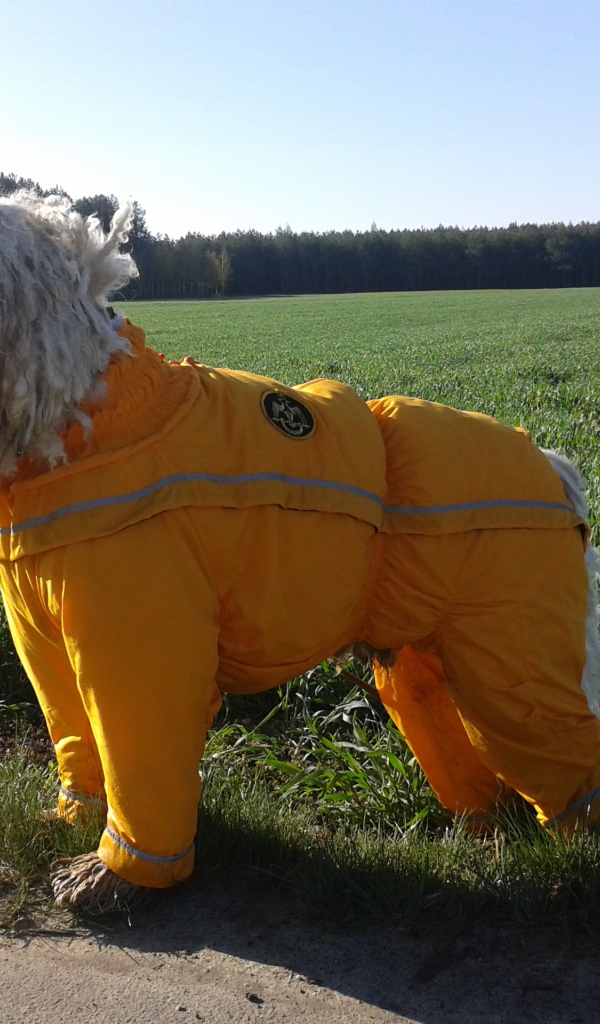 Комбинезон для комондора