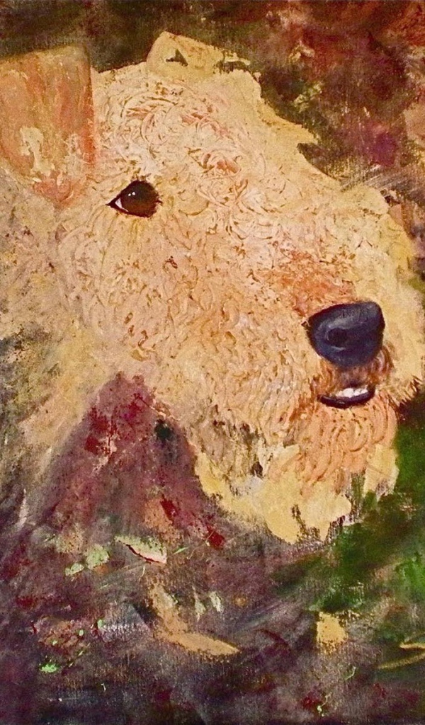 Рисунок собаки эрдельтерьера