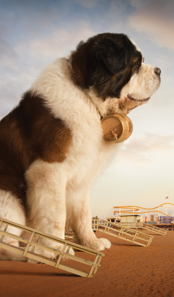 Огромный сенбернар на пляже