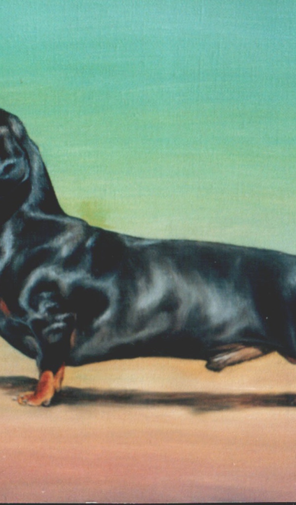 Картина с таксой