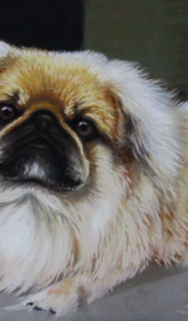 Пекинес на картине