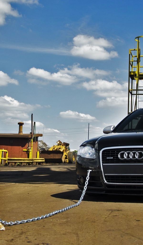 Питбуль охраняет машину