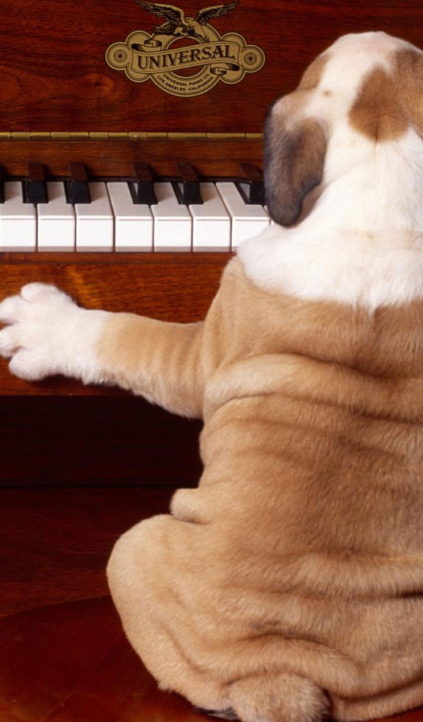 Сыграй снова 