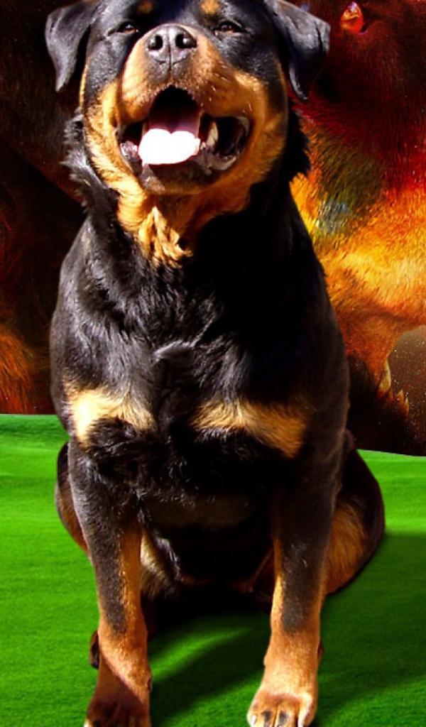 Космический пес ротвейлер