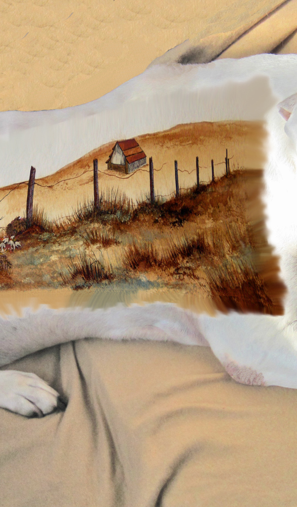 Картина на спине американского стаффордширского терьера