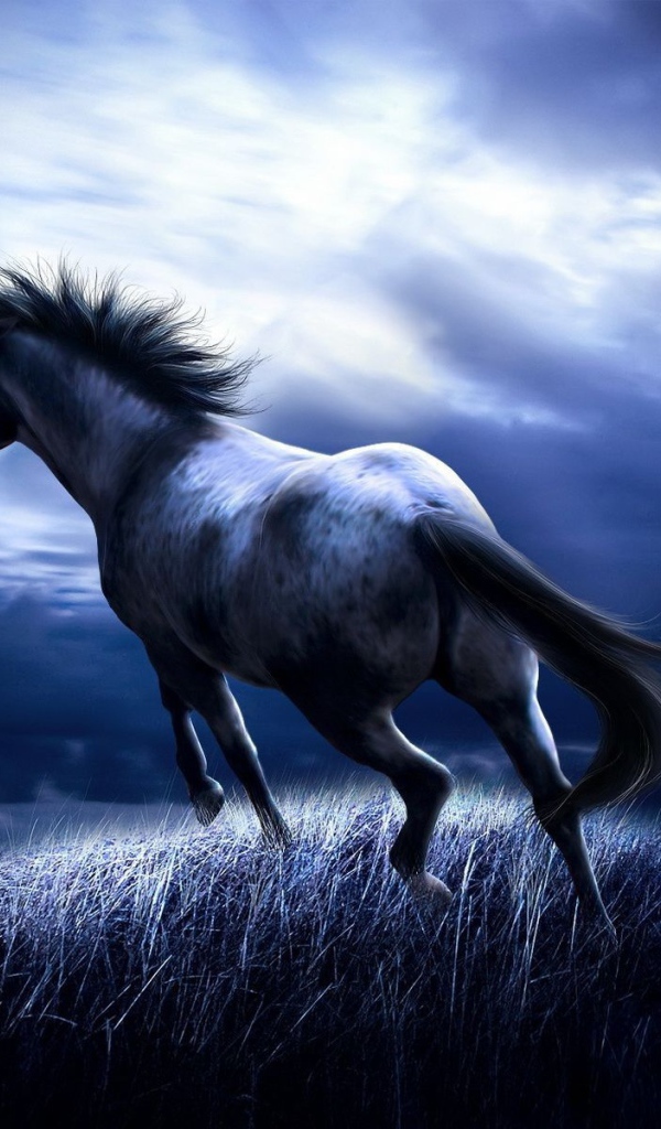 Темная лошадь