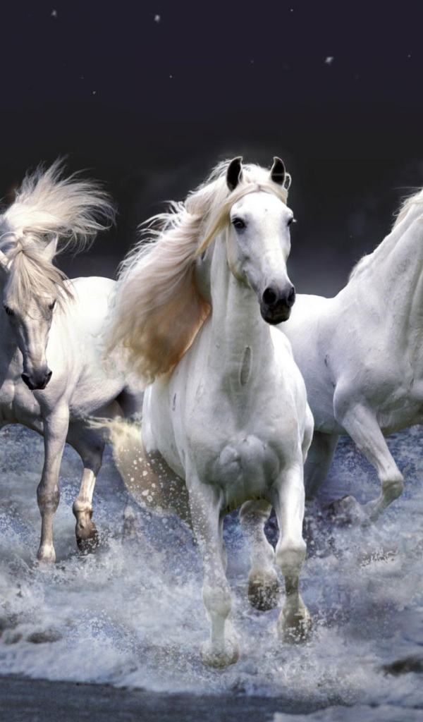 Мистические лошади 