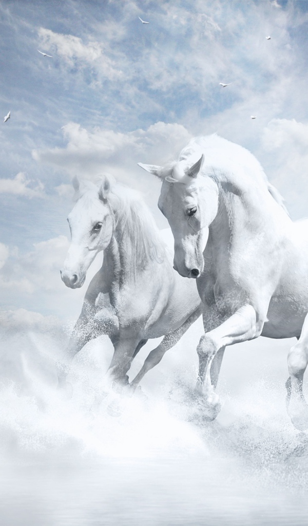 Белые лошади