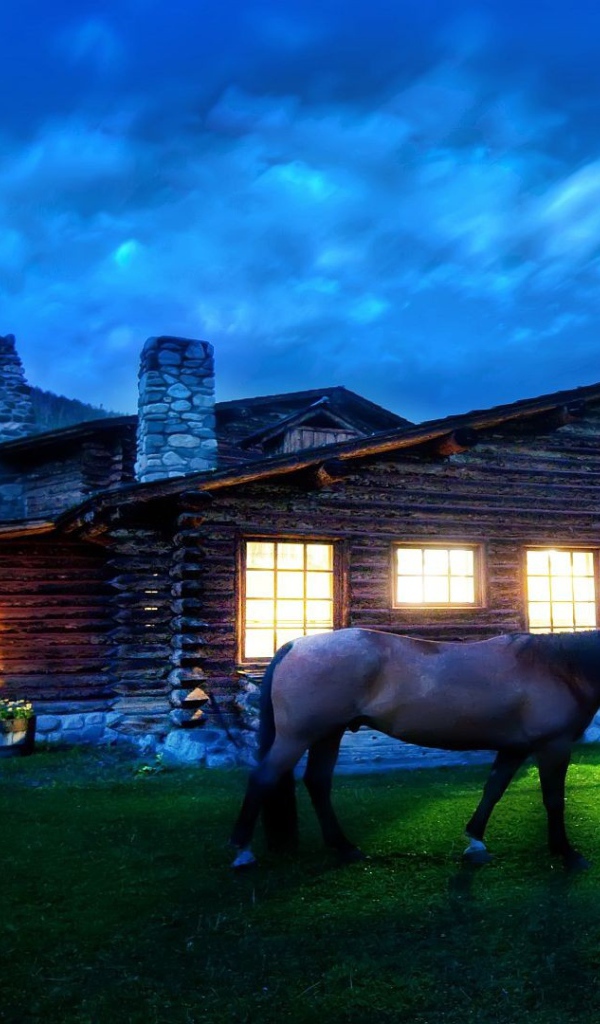 Лошадь около дома