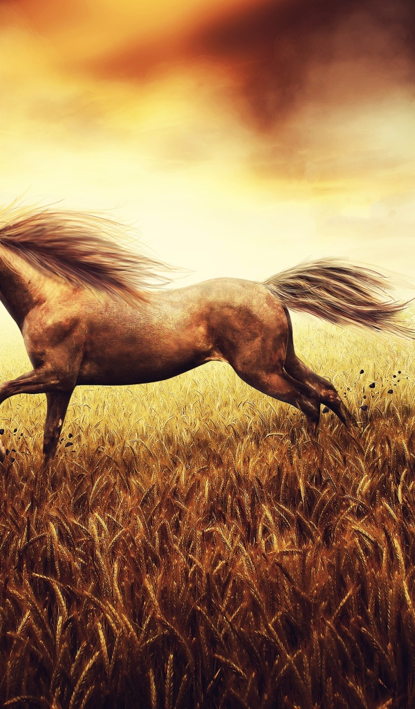 Лошадь скачет по пшеничному полю