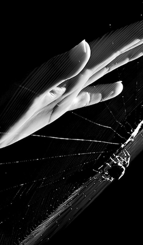 Рука у паутины