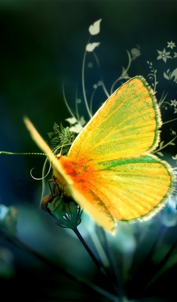 Желтая бабочка на цветке