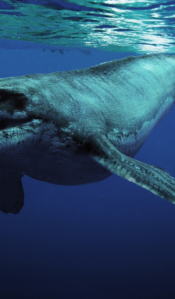 Доисторическое животное 