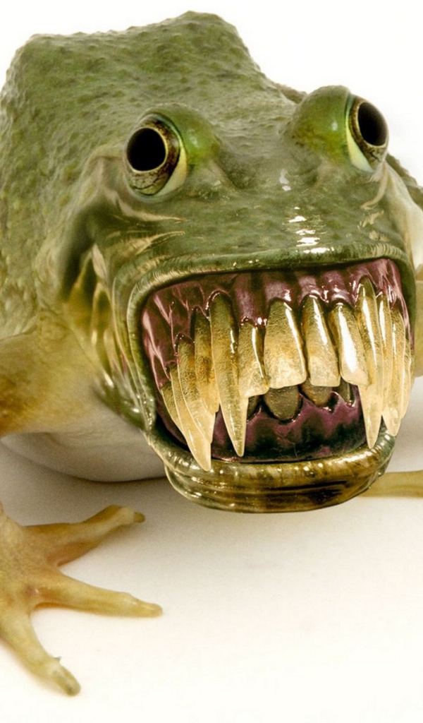 Зубастая лягушка