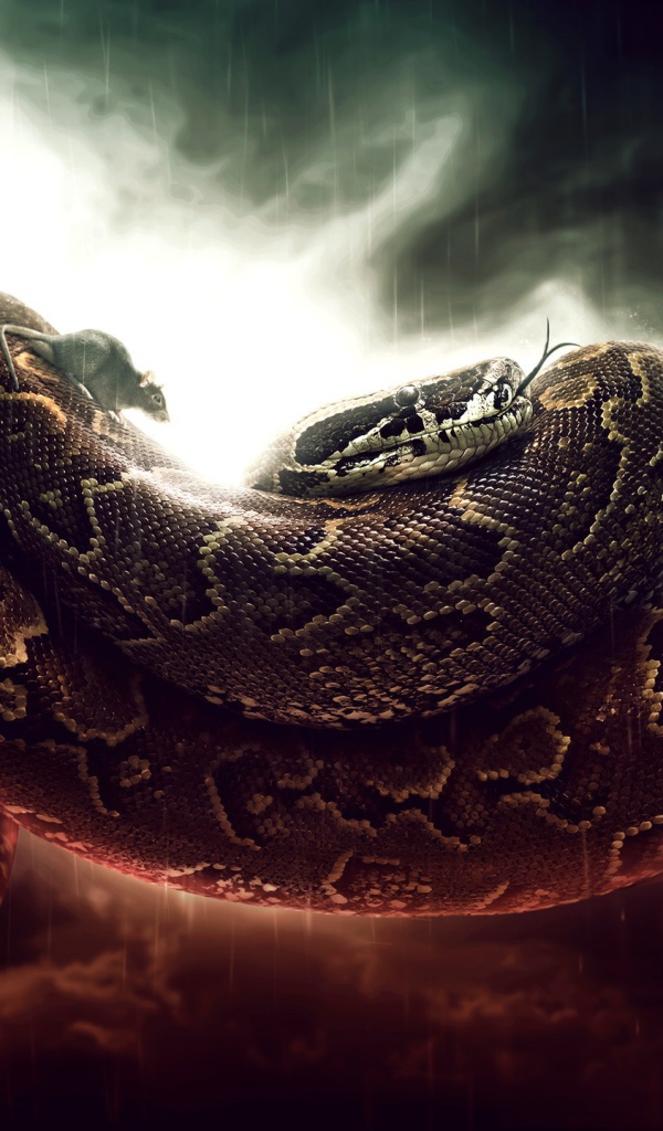 Мыши бегают по удаву