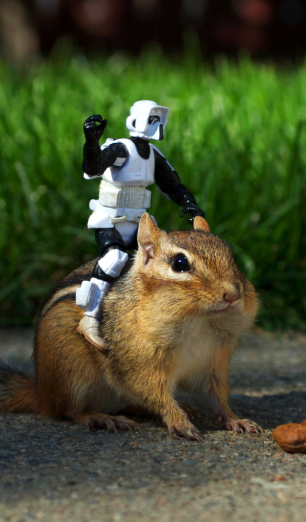 Робот верхом на бурундуке