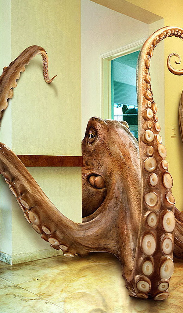 Giant octopus in the room