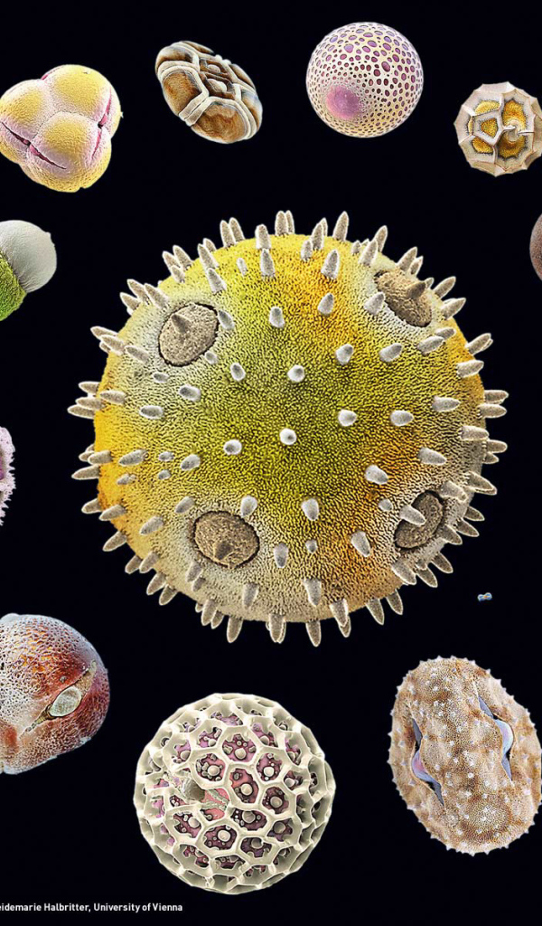 Морская тема