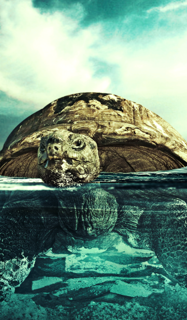 Черепаха плывет по воде