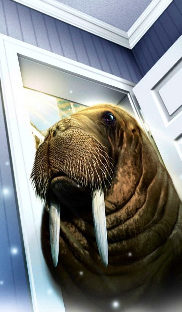 Морж пришел в дом
