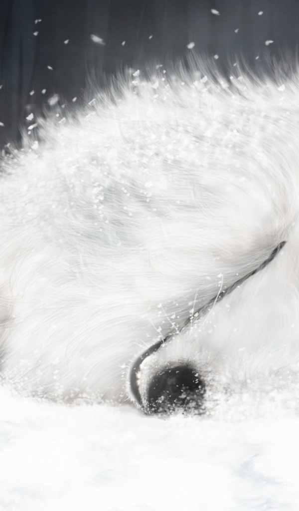 Белая лиса на снегу 