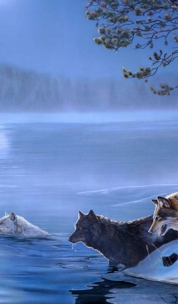 Волки переплывают реку