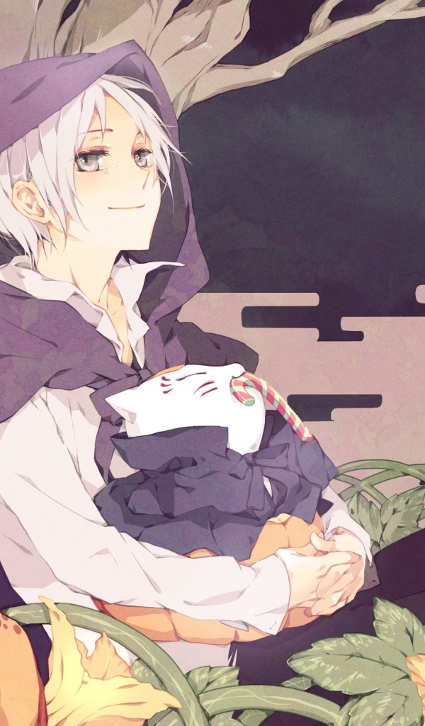 Тетрадь дружбы нацумэ